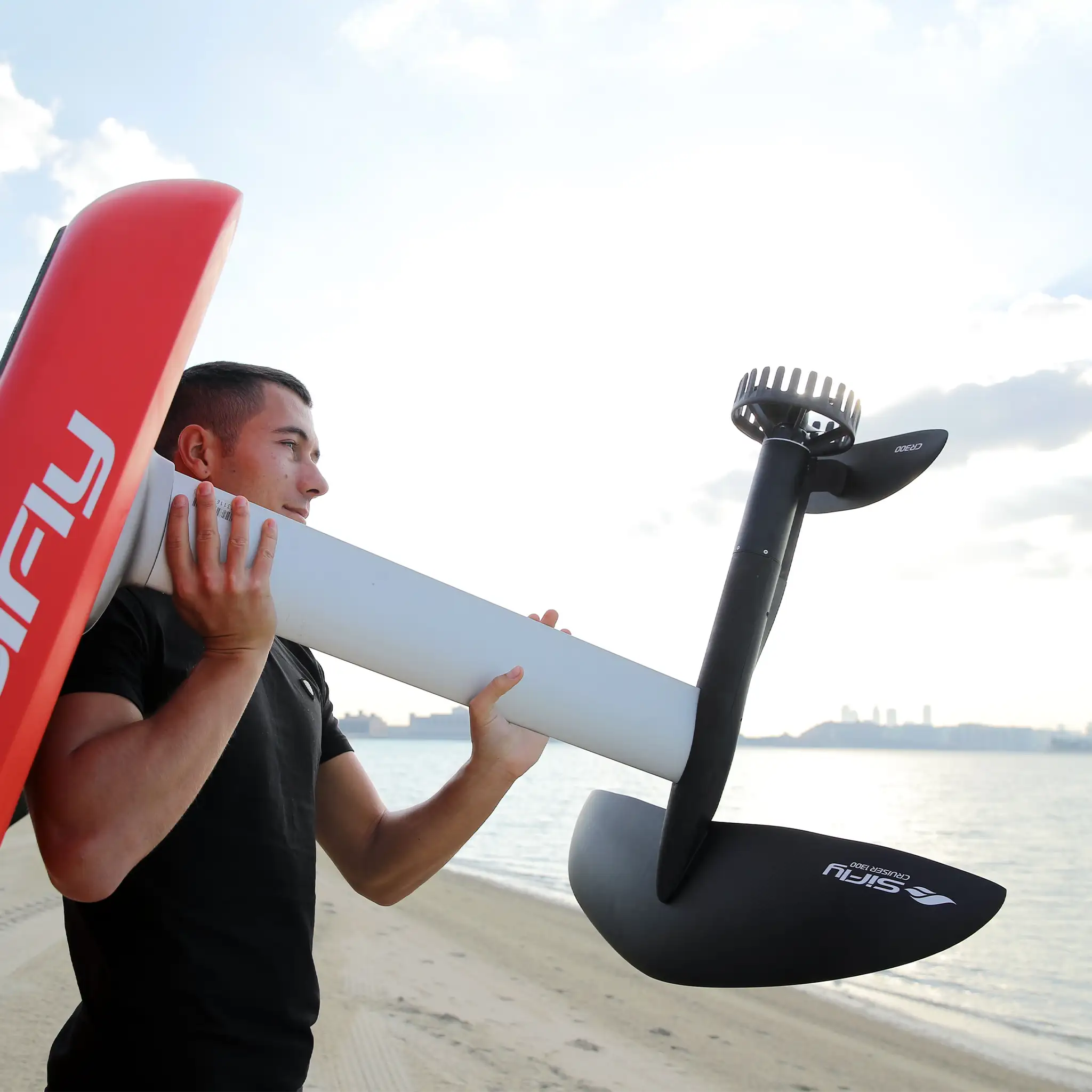 Wing Set Cruiser 1300/CR300